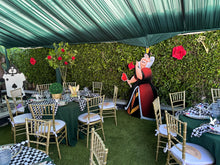 Load image into Gallery viewer, Alice in Wonderland Full Package