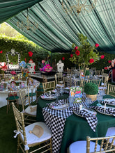 Load image into Gallery viewer, Alice in Wonderland Full Package