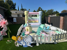 Load image into Gallery viewer, Alice in Wonderland Full Package