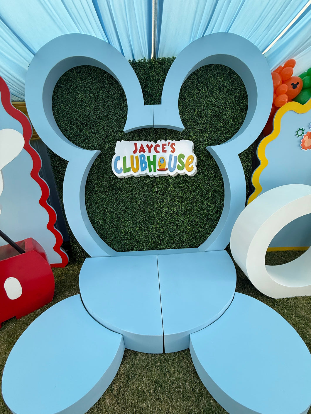Mickey Mouse Backdrop