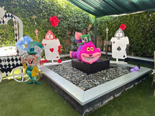 Load image into Gallery viewer, Alice in Wonderland Full Package
