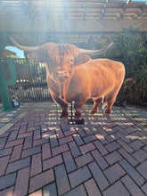 Load image into Gallery viewer, Highland Cow Prop
